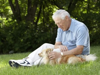 Homeopátia állatoknál: Öregség kutyáknál